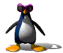 Pinguin...